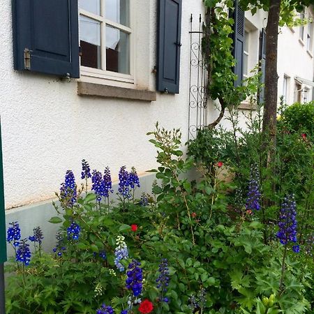 Seelig'S Weinsheim  Exterior foto