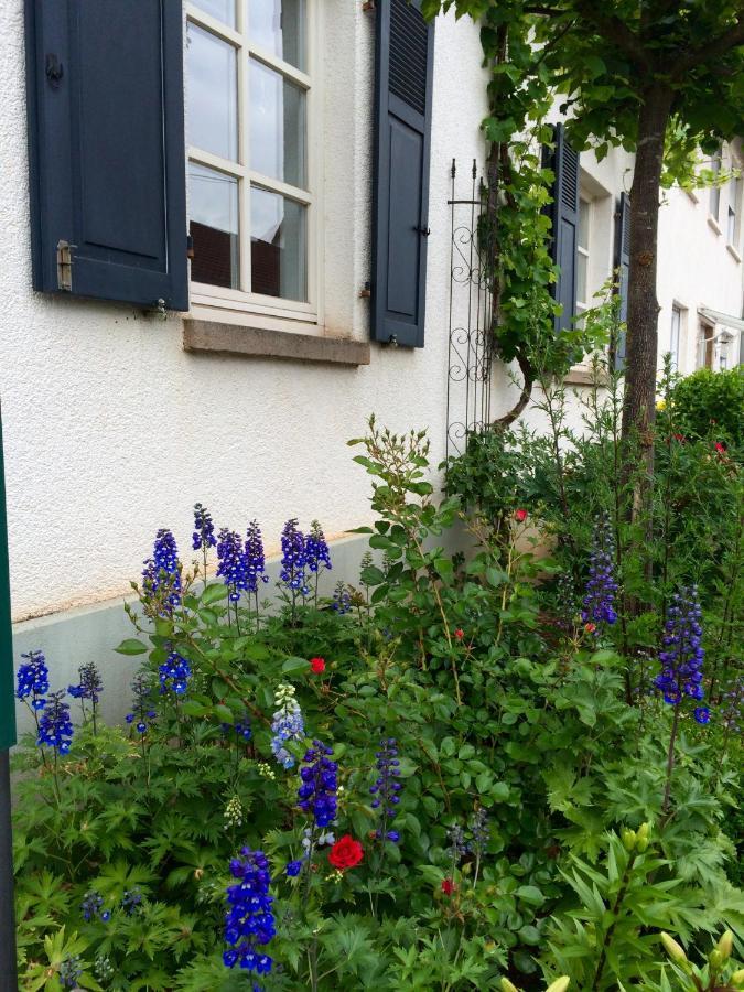 Seelig'S Weinsheim  Exterior foto